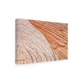 thumbnail image 2 of Alan Majchrowicz 'Coyote Buttes VI' Canvas Art, 2 of 3