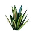 thumbnail image 2 of Sculpture en Métal Multicolore Tequila Cactus pour Jardin Rouge 35cm, 2 of 13