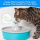 thumbnail image 4 of Reemplazo de Filtro para Fuente de Agua de Gato, Filtros de Espuma de Repuesto Pet Fountain Compatibles con Bebedero Seguro para Mascotas, Filtros Pet Fountain para Bebedero de Acero Inoxidable 360, 4 of 5