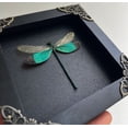 thumbnail image 3 of Framed Nature-Inspired Dragonfly Wall Art – Black Shadow Box Decorative Display, Gothic & Dark Aesthetic Home Decor for Wall or Shelf K12-83-DE, 3 of 6