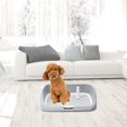 thumbnail image 3 of fastboy Washable Pet Training Toilet Tray Potty Tray Puppy Pee Tray Reusable, 3 of 9