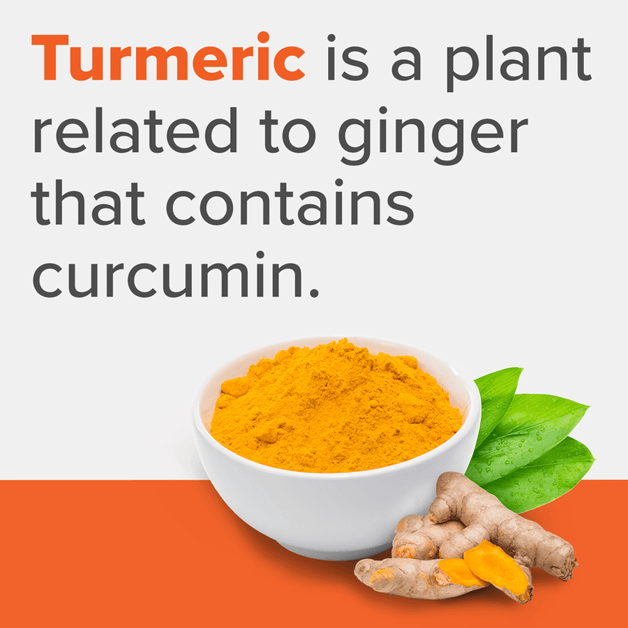 Qunol Liquid Turmeric Curcumin with Black Pepper, Turmeric Supplement 1000mg, Extra Strength, Joint Health, 40 Servings, 20.3 fl oz