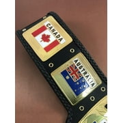 NWA World Heavyweight Champion Wrestling Belt