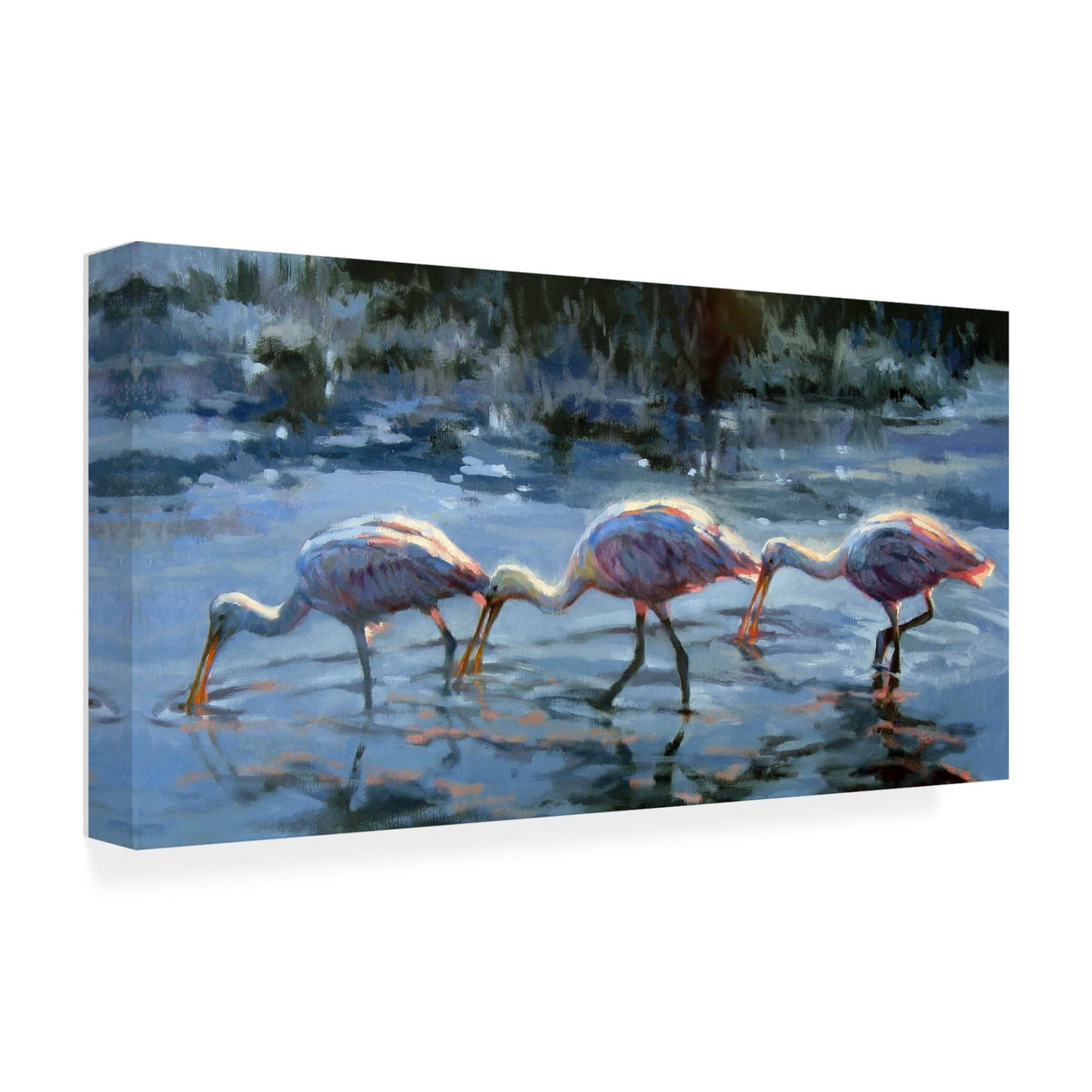 Canvas Wall Art - Sandy Nelson 'Spoonbill Late Feeding' Wall Art for Living Room, Bedroom, or Office Décor by Trademark Fine Art - 47 x 24 Inches