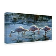thumbnail image 3 of Canvas Wall Art - Sandy Nelson 'Spoonbill Late Feeding' Wall Art for Living Room, Bedroom, or Office Décor by Trademark Fine Art - 32 x 16 Inches, 3 of 4