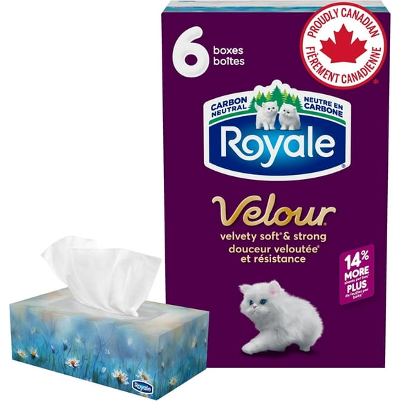 Royale Velour 3 Ply Facial Tissue, 6 Tissue Boxes, 82 Tissues per Box