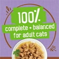 thumbnail image 4 of Friskies Extra Gravy Chunky Turkey, Wet Cat Food 156g, 4 of 9