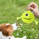 thumbnail image 5 of Juguetes para la Dentición de Perros, Pelota Interactiva para la Dentición, Pelota Multifuncional, Juguete Suave para Cachorros, para Ejercicios de Limpieza de Dientes, 5 of 5