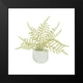 thumbnail image 2 of Bannarot 12x12 Black Modern Framed Museum Art Print Titled - Potted Fern I, 2 of 5