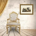 thumbnail image 3 of Audubon, John James 24x17 Gold Ornate Wood Framed with Double Matting Museum Art Print Titled - White-fronted Goose, 3 of 4