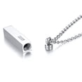 thumbnail image 4 of Collar con Colgante de cenizas de cremación Fernando Acero Inoxidable Plata, 4 of 8