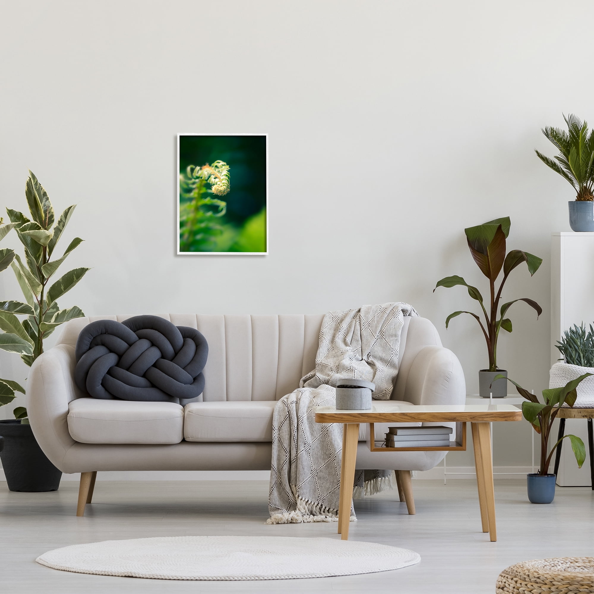 Stupell Fern Leaves Nature Photography Botanical & Floral Photography White Framed Art Print Wall Art