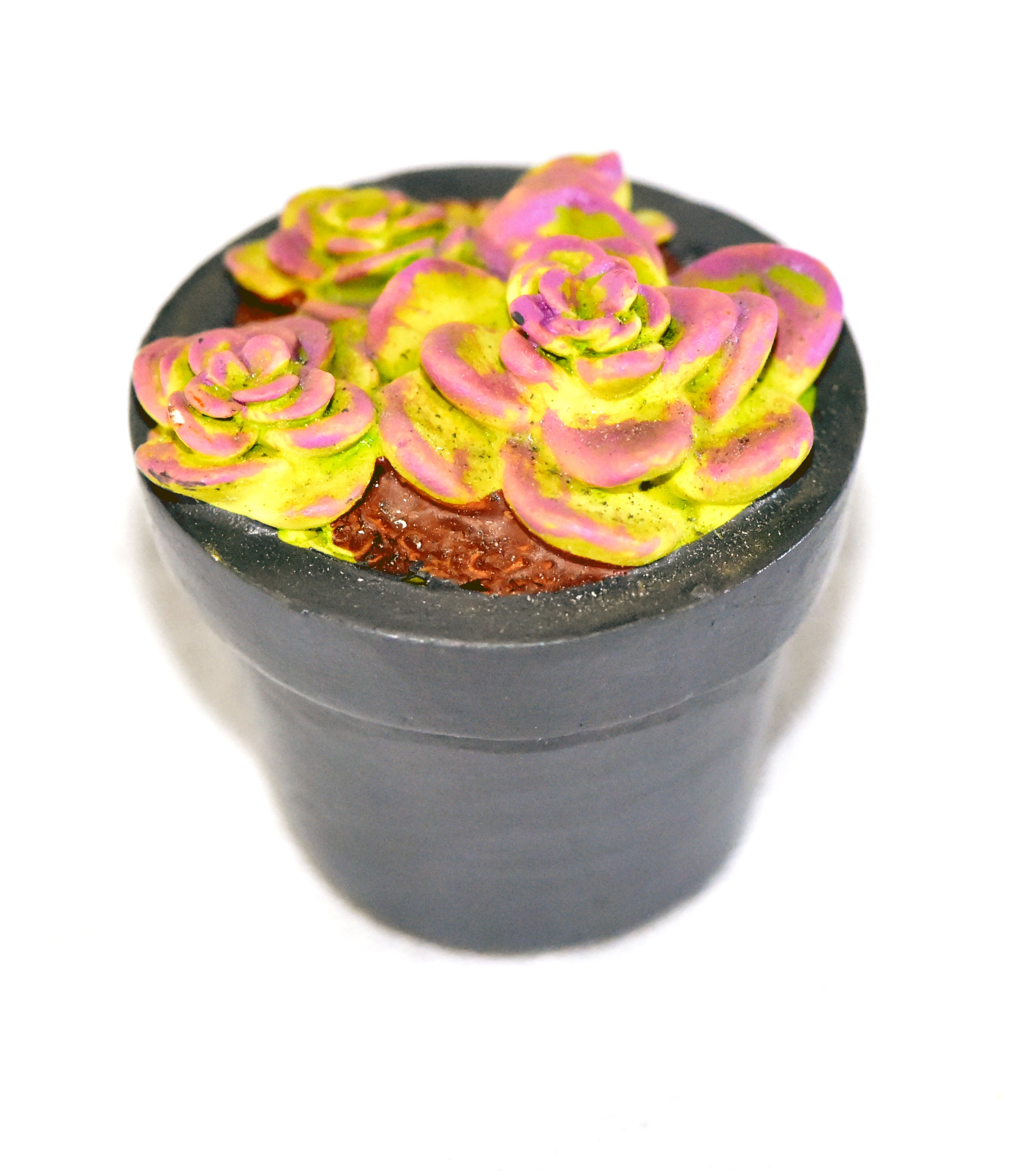4-Pieces Mini Gardenn Fairy Garden Miniature Succulent Plants Set