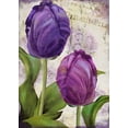 thumbnail image 2 of Sasha 18x24 White Modern Wood Framed Museum Art Print Titled - Parrot Tulips I, 2 of 4