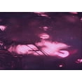 thumbnail image 1 of Ahgly Company Machine Washable Indoor Rectangle Transitional Purple Lily Purple Area Rugs, 2' x 4', 1 of 7
