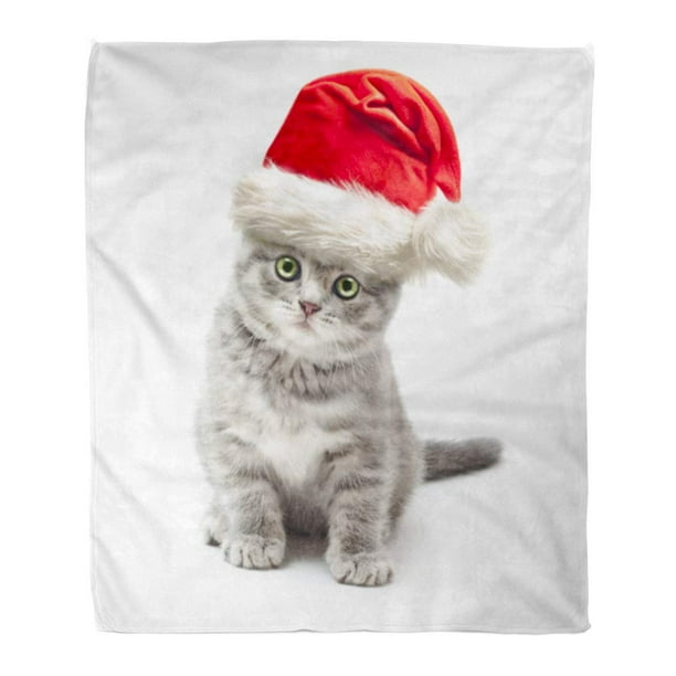 Kitten throw cheap blanket