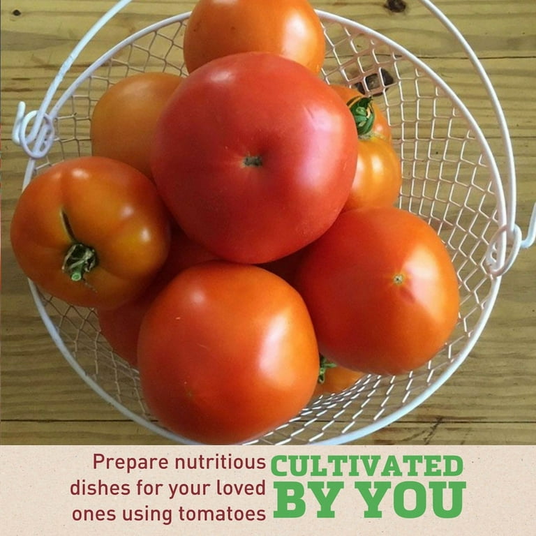 Harris Seeds Hybrid Red Deuce F1 Tomato Seeds - Non-GMO, High