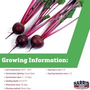 Harris Seeds Eagle F1 Beet, Dark Red Round Roots with Strong Tops for Fresh Market and Garden Harvests, 10,000 Count