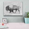 thumbnail image 4 of Epic Graffiti 'Wild Bison Study II' by Emma Scarvey, Giclee Canvas Wall Art, 16"x12", 4 of 8