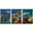 NATURAL, variant on wall26 - 3 Piece Framed Canvas Wall Art - Colorful Underwater Offshore Rocky Reef with Coral and Sponges - Modern Home Art Stretched and Framed Ready to Hang - 16"x24"x3 WHITE