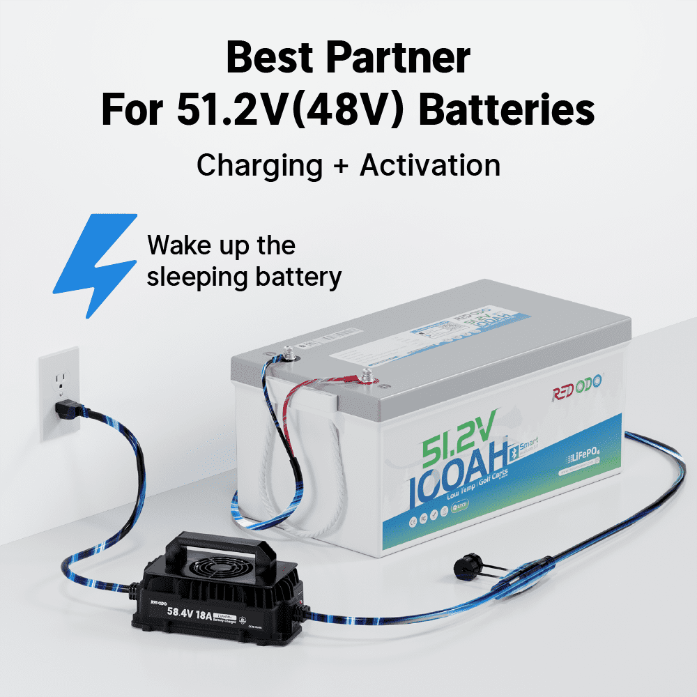 Redodo 58.4V18A LiFePO4 Battery Charger for 48V (51.2V) Lithium Batteries IP65 Waterproof Smart Charger with 0V BMS Activation 3-Stage Charging
