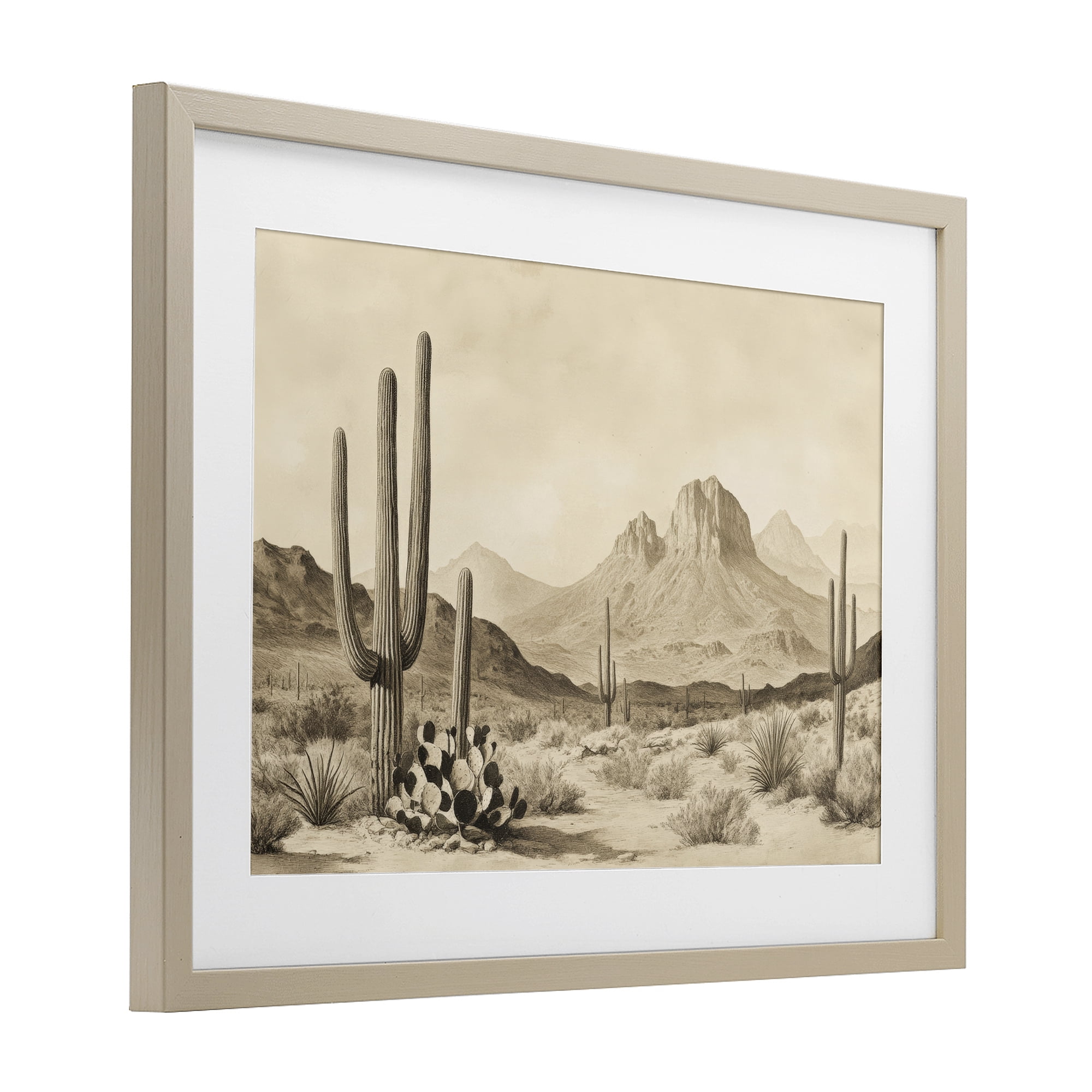Stupell Industries Arizona Desert Vista Birch Framed Print Under Glass, design by Petal Prints Design
