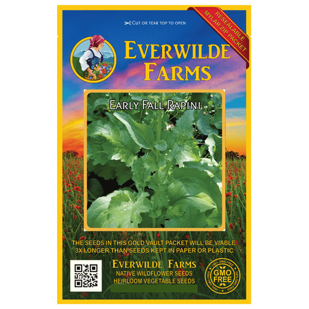 Everwilde Farms - 500 Early Fall Rapini Broccoli Seeds - Gold Vault Jumbo Bulk Seed