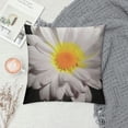thumbnail image 2 of PIKWEEK  Throw Pillow Covers Beautiful White Daisy Bloom Flower Super Soft Pillow Covers Decorative for Couch Bedroom Living, 2 of 5