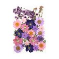 thumbnail image 4 of Destyer Set Scrapbooking Decorating Real Flower Decal Handicraft Filling Pressed Specimen Label for Makeup Phone Use Type 1 Type35 NO35, 4 of 6
