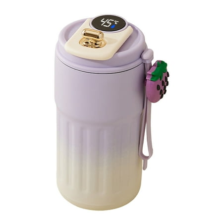 

Hzsb 15.21oz Vacuum Thermal Cup Stainless Steel Insulated Mug with Temperature Display Leak-Proof Lid Double-wall Insulation Vacuum Cup for Travel