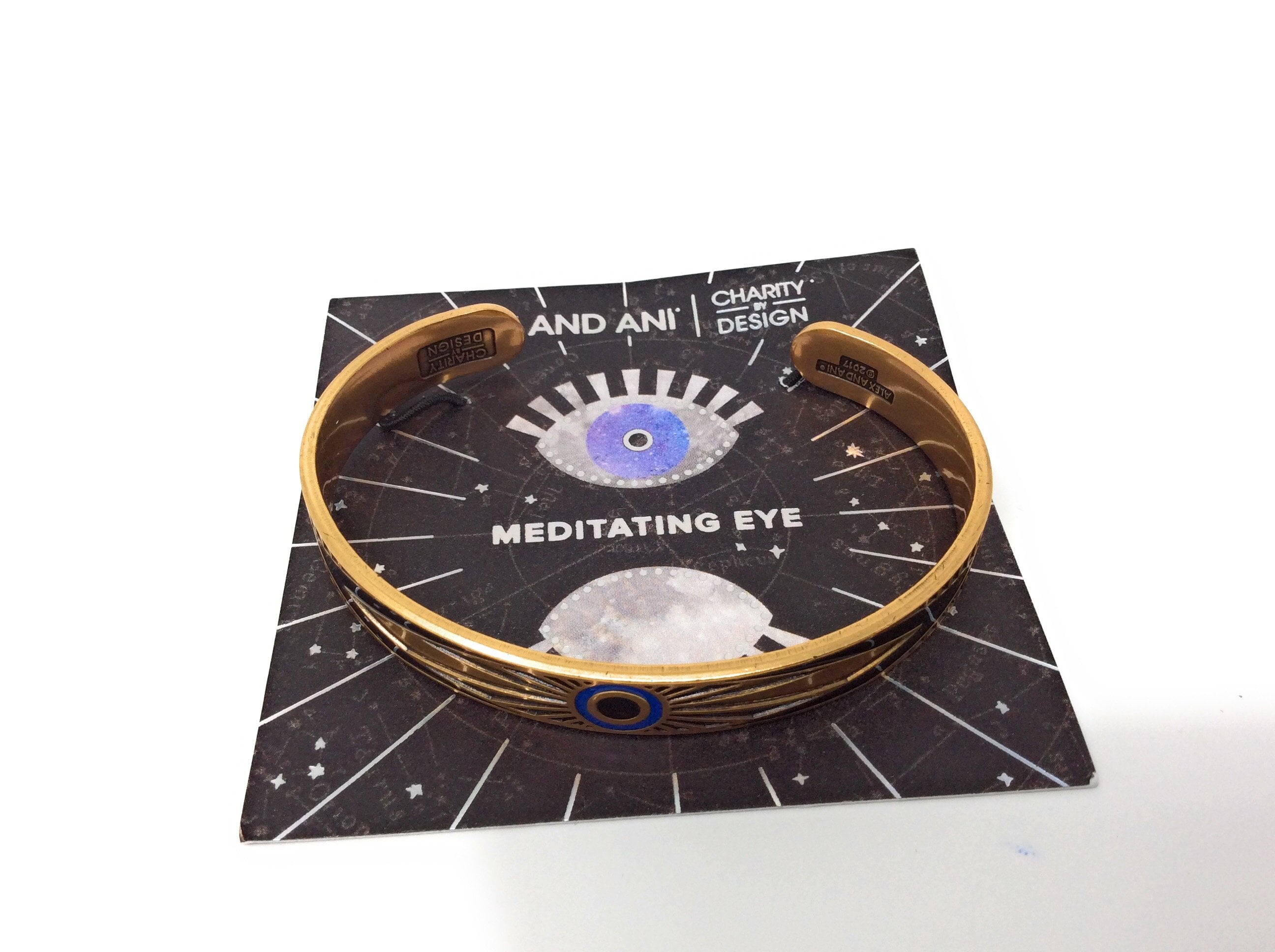 Alex and ani 2024 meditating eye necklace