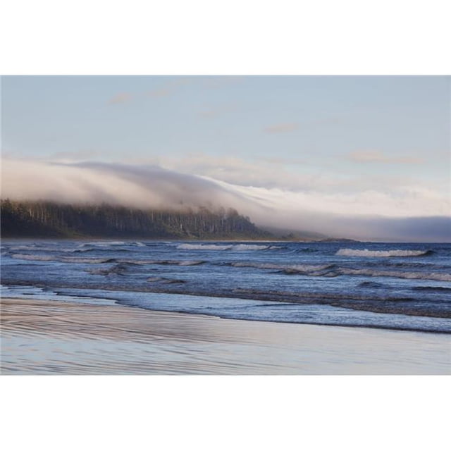 Design Pics DPI2025708 Formes de Brouillard sur la Forêt Tropicale Tempérée le Long de la Plage dans le Parc National de Pacific Rim Près de Tofino - Affiche Imprimée Colombie-Britannique Canada, 19 x 12