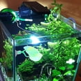thumbnail image 1 of FUTUREORYY Planta De Silicona Para Acuario Con Doble Para Betta En Color, 1 of 7