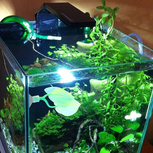 FUTUREORYY Planta De Silicona Para Acuario Con Doble Para Betta En Color