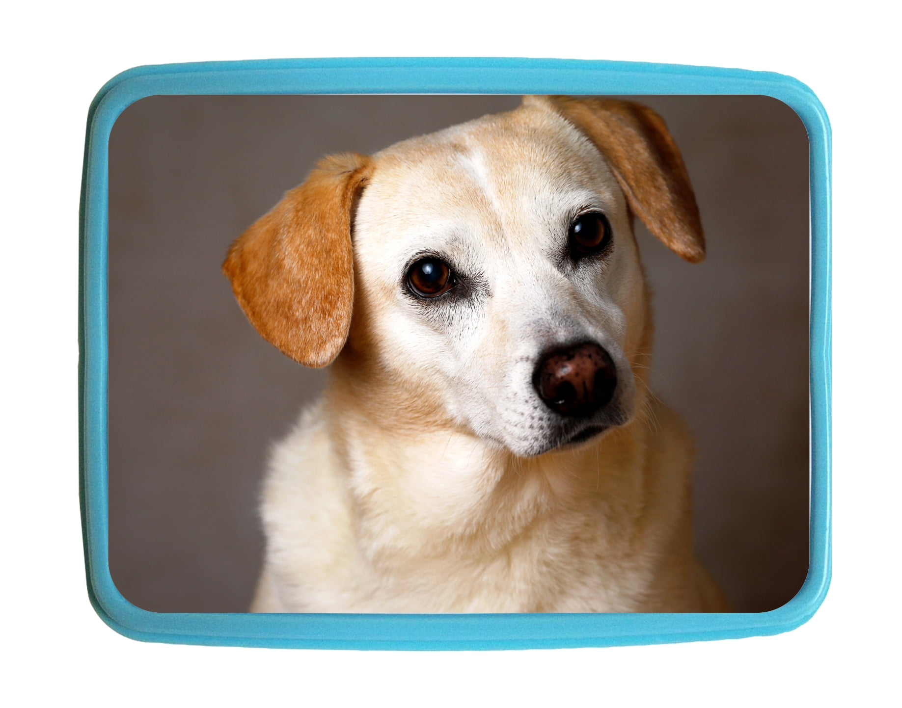 lunchbox-puppy-retriever-puppy-kids-bento-lunch-box-with-3-compartment