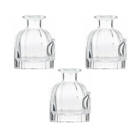 LEORX Small Bottles with Lids Glass Diffuser Bottles Transparent 3Pcs