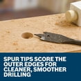 thumbnail image 4 of Bosch SB0010 Chisel Point Spade Set (10-Piece), 4 of 7