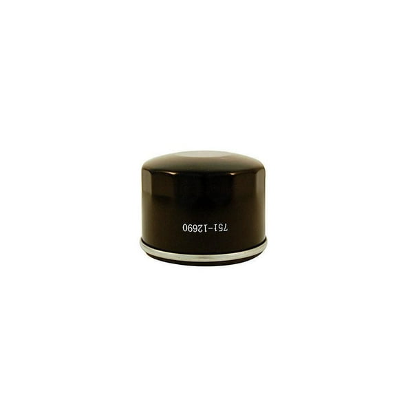 MTD Oil Filter For Powermore Engines