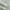 Green Mist, variant on Noble Linens 4 Piece Pattern Microfiber Bed Sheets Set, Distressed Willow Apricot, Queen