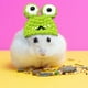 thumbnail image 4 of Gorro de punto para hámster, adorable gorro para mascota pequeña, con correa ajustable, diseño de ranas, conejos y zanahorias, plegable y portátil, de lana suave, ideal para hámsteres y, 4 of 8
