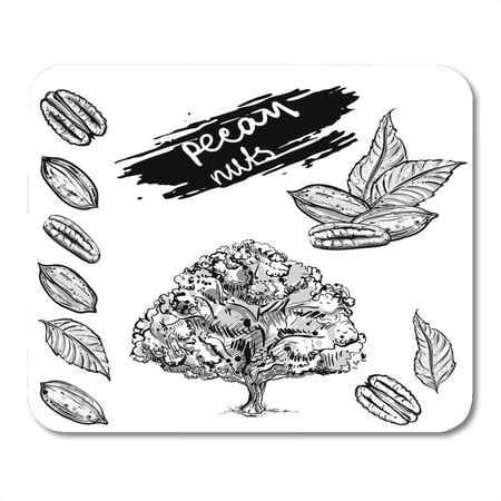 - KDAGR Food Black Collection Gray Scale of Pecan Nuts Leaf Tree Sketch 8 Drawing Fruit Mousepad Mouse Pad Mouse Mat 9x10 inch