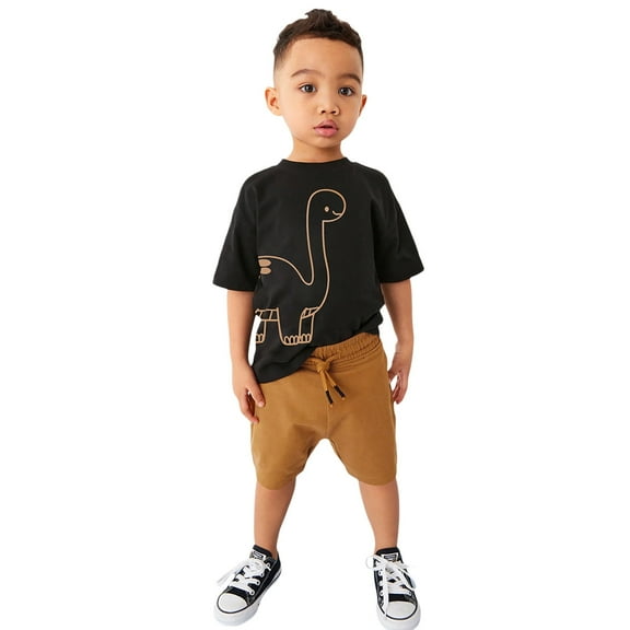 Outfit Boys Short Sleeve Dinosaur Prints T Shirt Tops Shorts Set Baby Clothes Boy Black 18 Months-24 Months
