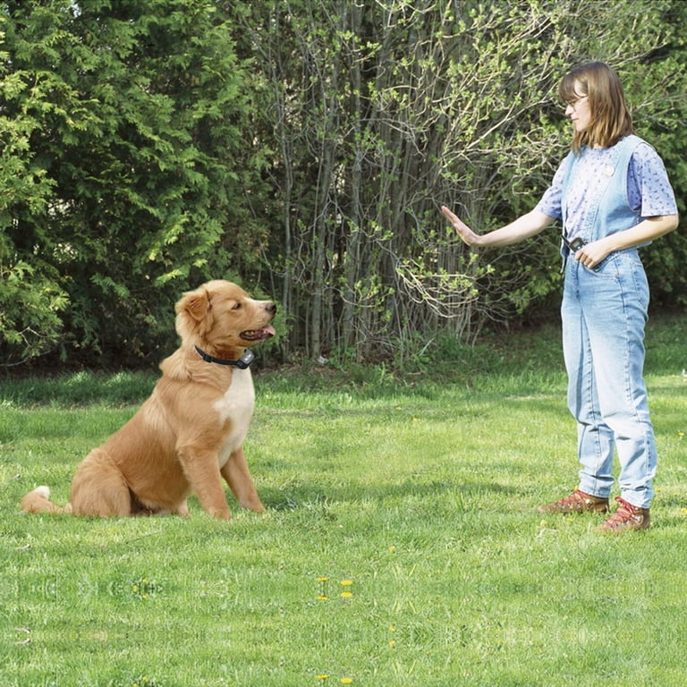 Petrainer Waterproof Vibrating Dog Shock Collar with Adjustable Electric Charging for Training Small Medium Large Dogs Walmart
