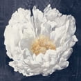 thumbnail image 2 of Purinton, Julia 12x12 White Modern Wood Framed Museum Art Print Titled - Serene Peony Navy, 2 of 4
