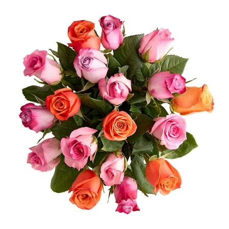1800 Flowers – 18 Stem Sorbet Roses (Bouquet Only) – Fresh Flowers for Delivery – Gift for Birthday Congratulations Get Well 1800 Flowers – 18 Stem Sorbet Roses (Bouquet Only) – Fresh Flowers for Delivery – Gift for Birthday Congratulations Get Well