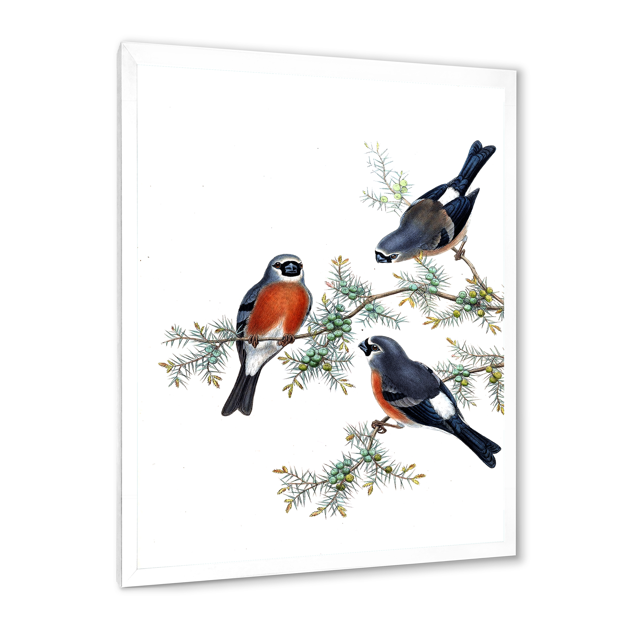 Designart 'Vintage Countryside Birds On Branch III' Farmhouse Framed Art Print