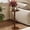 Walnut, variant on Maliowa Small Side Table, Round End Tables with Solid Wood Leg, Accent Drink Table for Living Room Bedroom Small Spaces, Walnut
