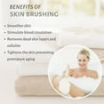 thumbnail image 4 of Natural Boar Bristle Dry Body Brush with Ergonomic Wooden Handle - Skin Exfoliator for Cellulite Treatment, Lymphatic Massage & Improved Circulation - for Wet or Dry Brushing, 4 of 9