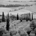 thumbnail image 2 of Blaustein, Alan 15x15 White Modern Wood Framed Museum Art Print Titled - Tuscany - 6, 2 of 4