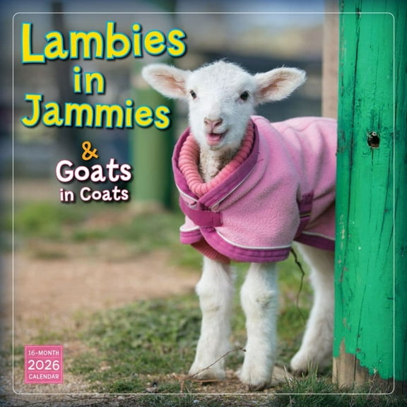 Sellers Publishing, Lambies in Jammies 2026 Wall Calendar, 12'' X 12'', 16-Month Calendar with Stapled Binding